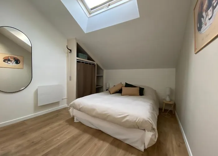 Apartment Cocon En Champagne Epernay