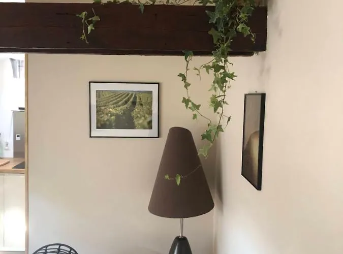 Cocon En Champagne *